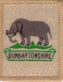 DunElephSmall.jpg (12224 bytes)