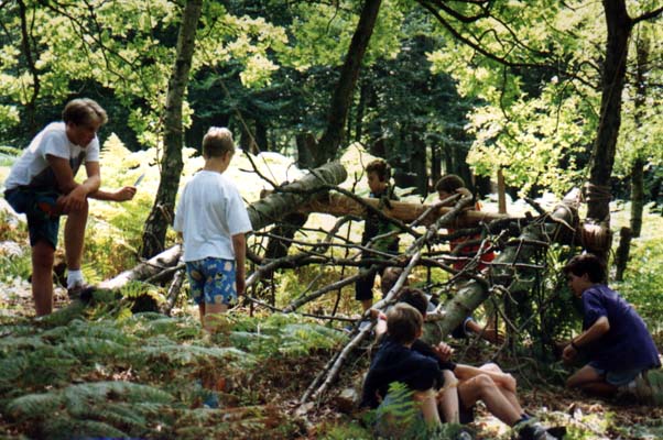 Shelter building